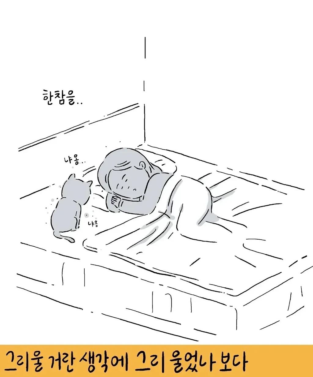 키크니 툰 무엇이든 모음집.jpg