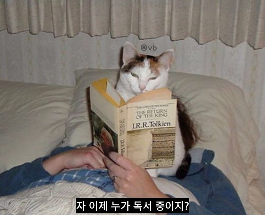 자 이제 누가 독서중이지?