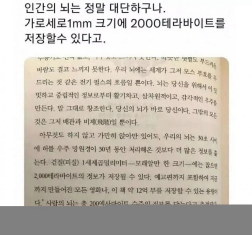 인간의 뇌 1mm 의 저장능력.jpg