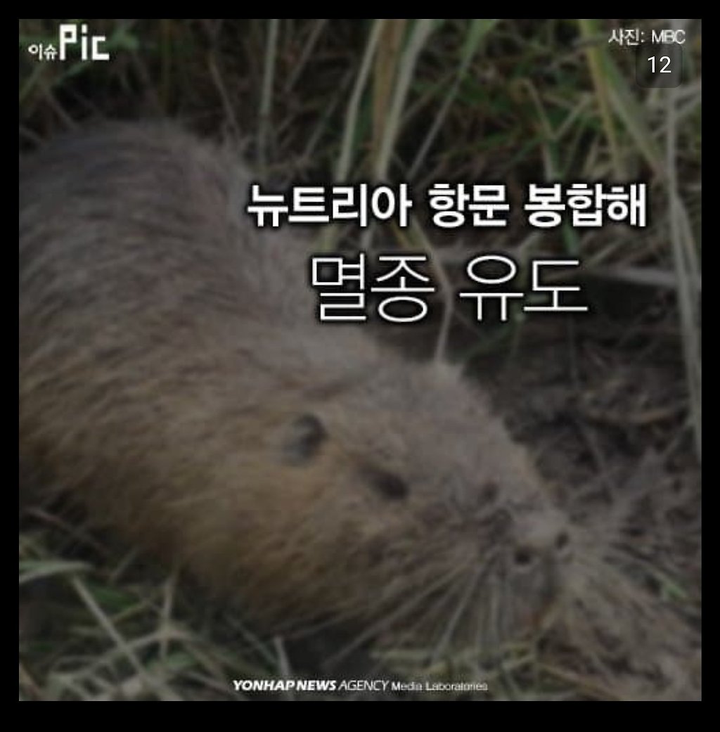 뉴트리아 멸종을 위해 정부가 벌인 일.jpg