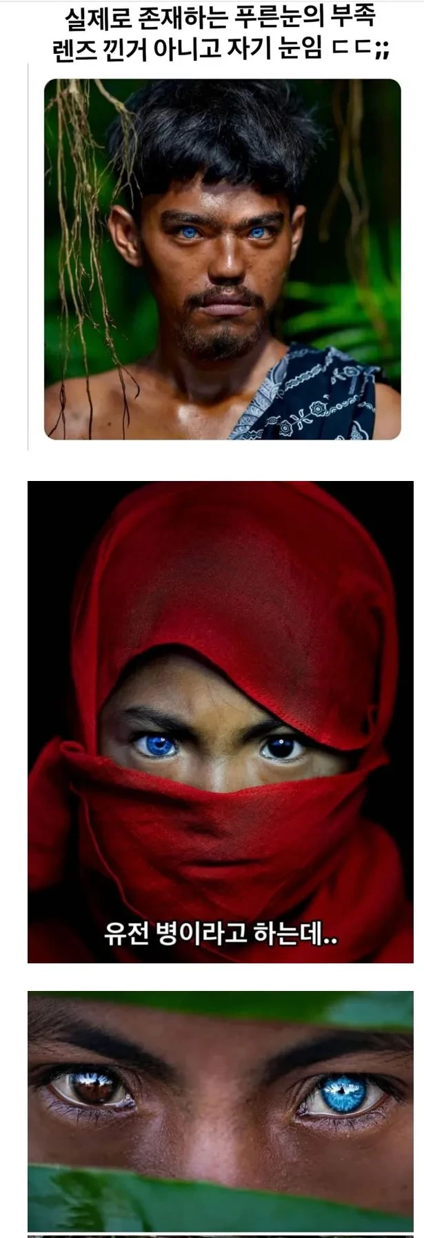 푸른 눈의 부족인들