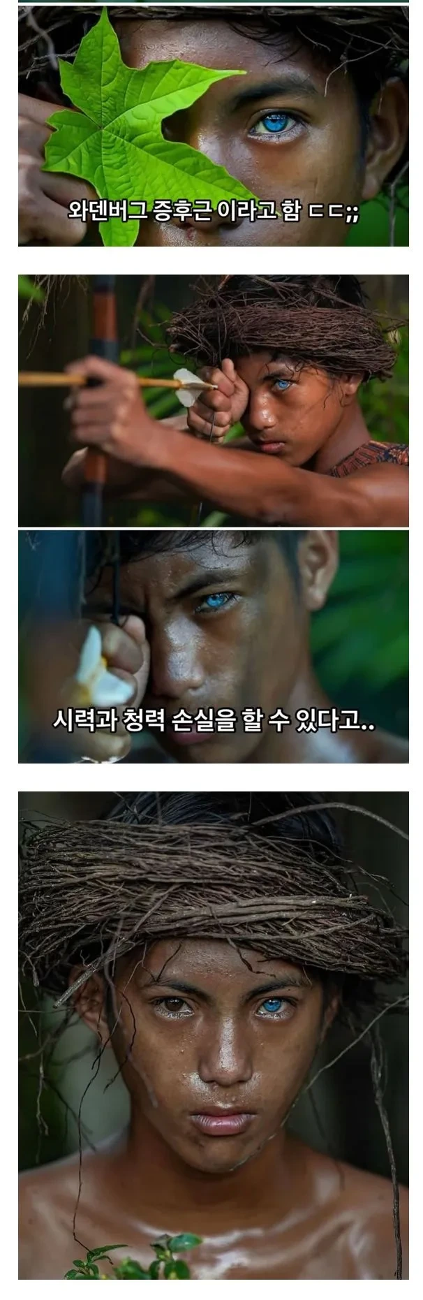 푸른 눈의 부족인들