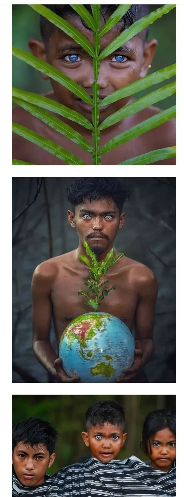 푸른 눈의 부족인들