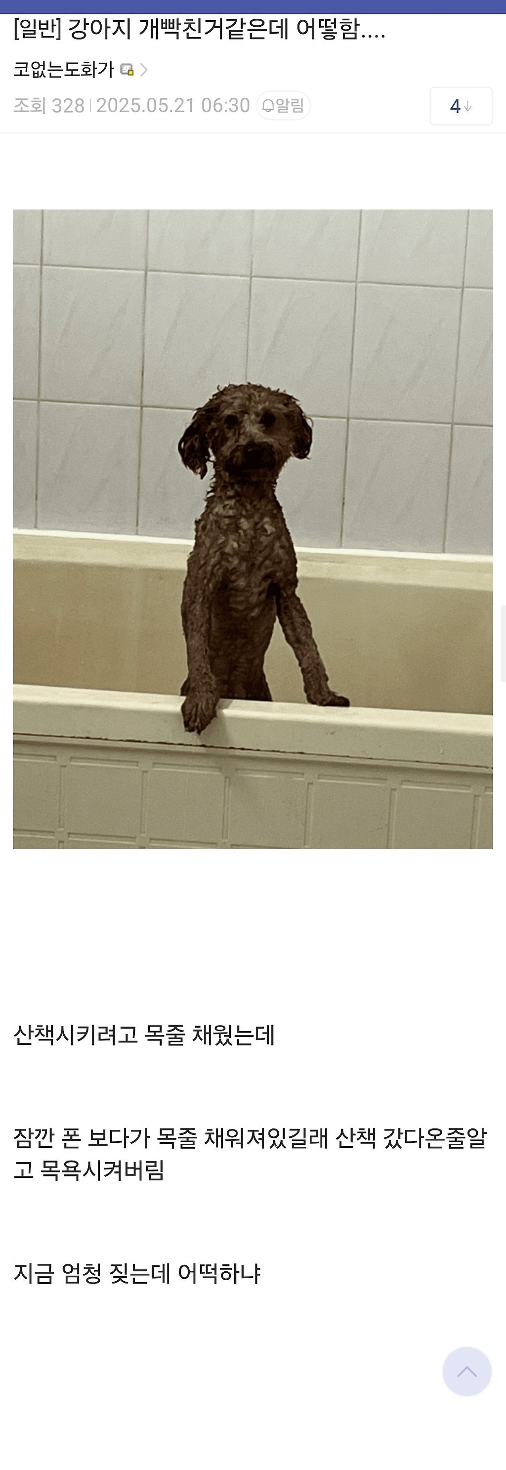 adhd 갤러리 레전드.jpg