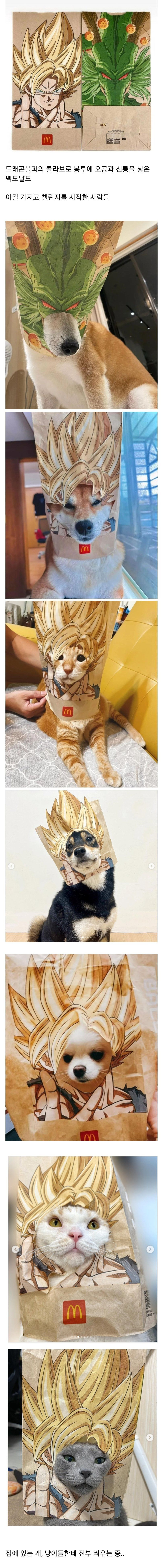 대만에서 유행중인 드레곤볼 챌린지