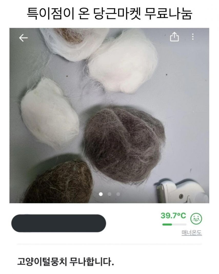 당근 무료나눔의 용도