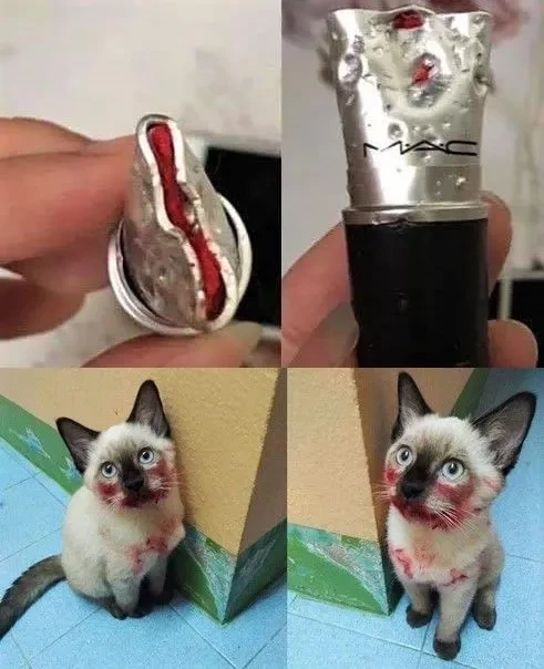 향이 나는 립스틱을 사면 안 되는 이유.jpg