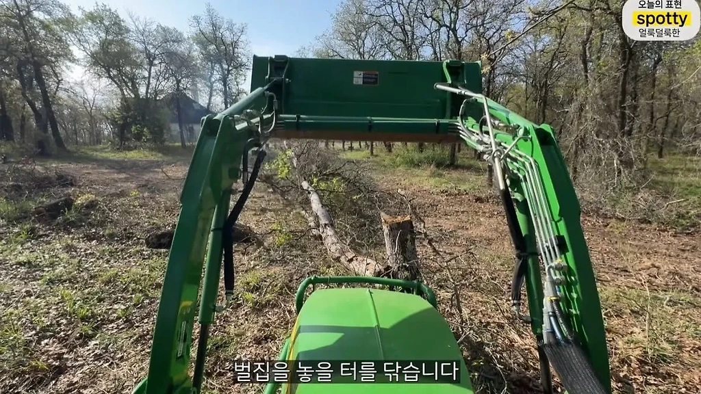 올리버쌤 집 앞마당에 나오는 독사