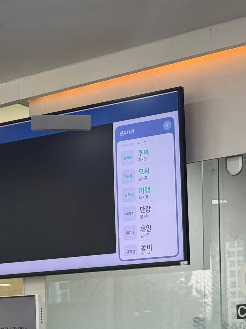 동물 병원 대기 명단