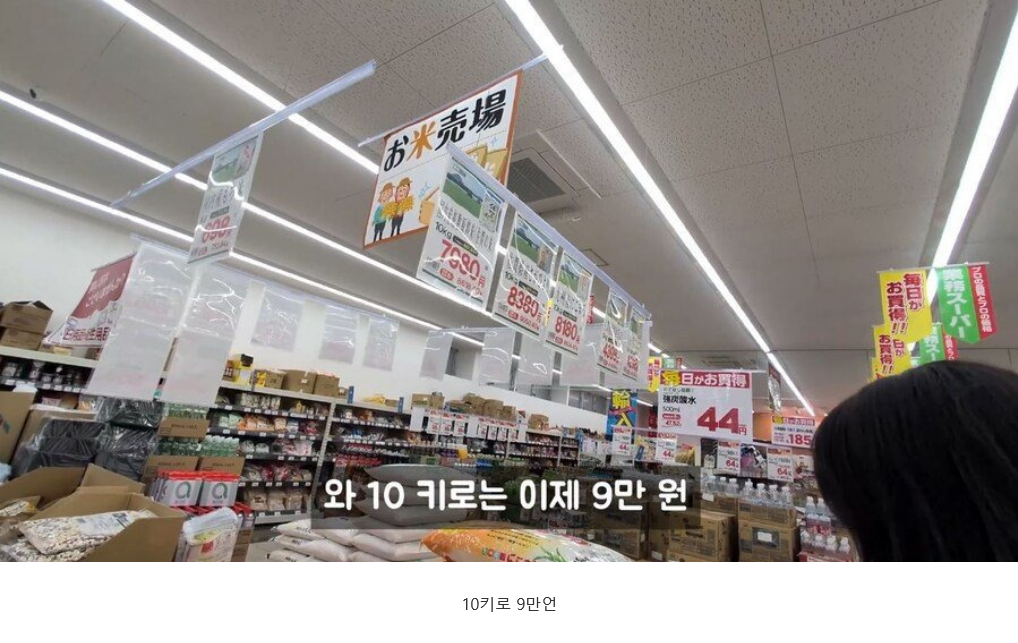 진짜 정신나간 일본쌀 가격 근황