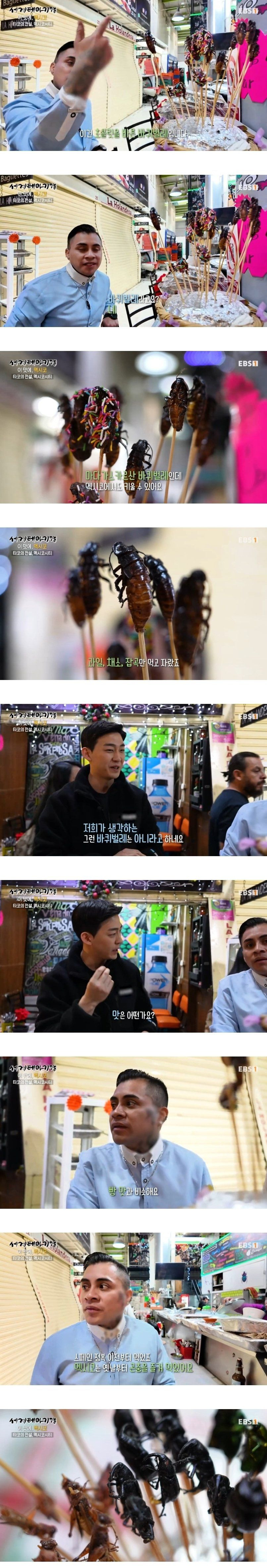 빵 맛 난다는 초코 바른 곤충