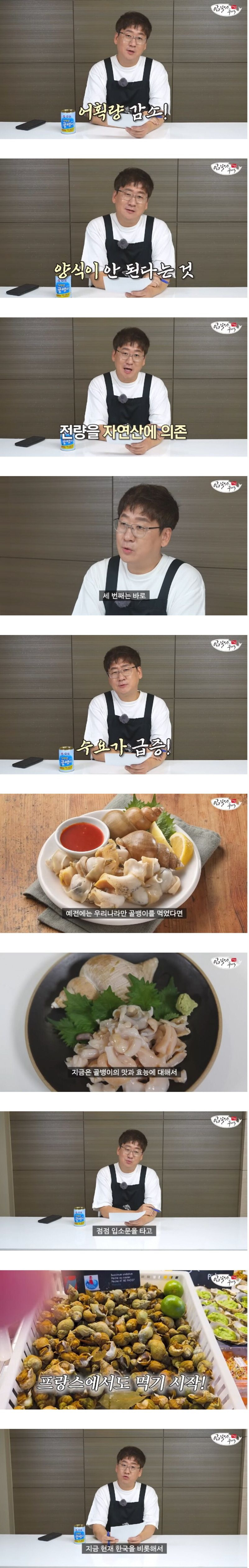 한류가 꼭 좋지만은 않은 이유.golbangee