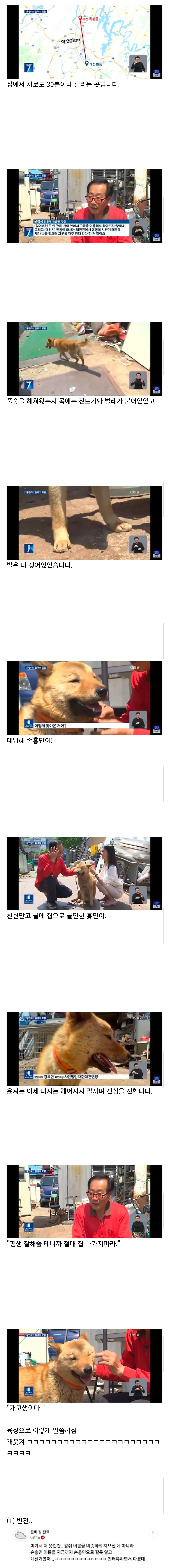 잃어버린지 41일만에 혼자 집 찾아 와 뉴스 탄 진돗개 손홍민이.jpg