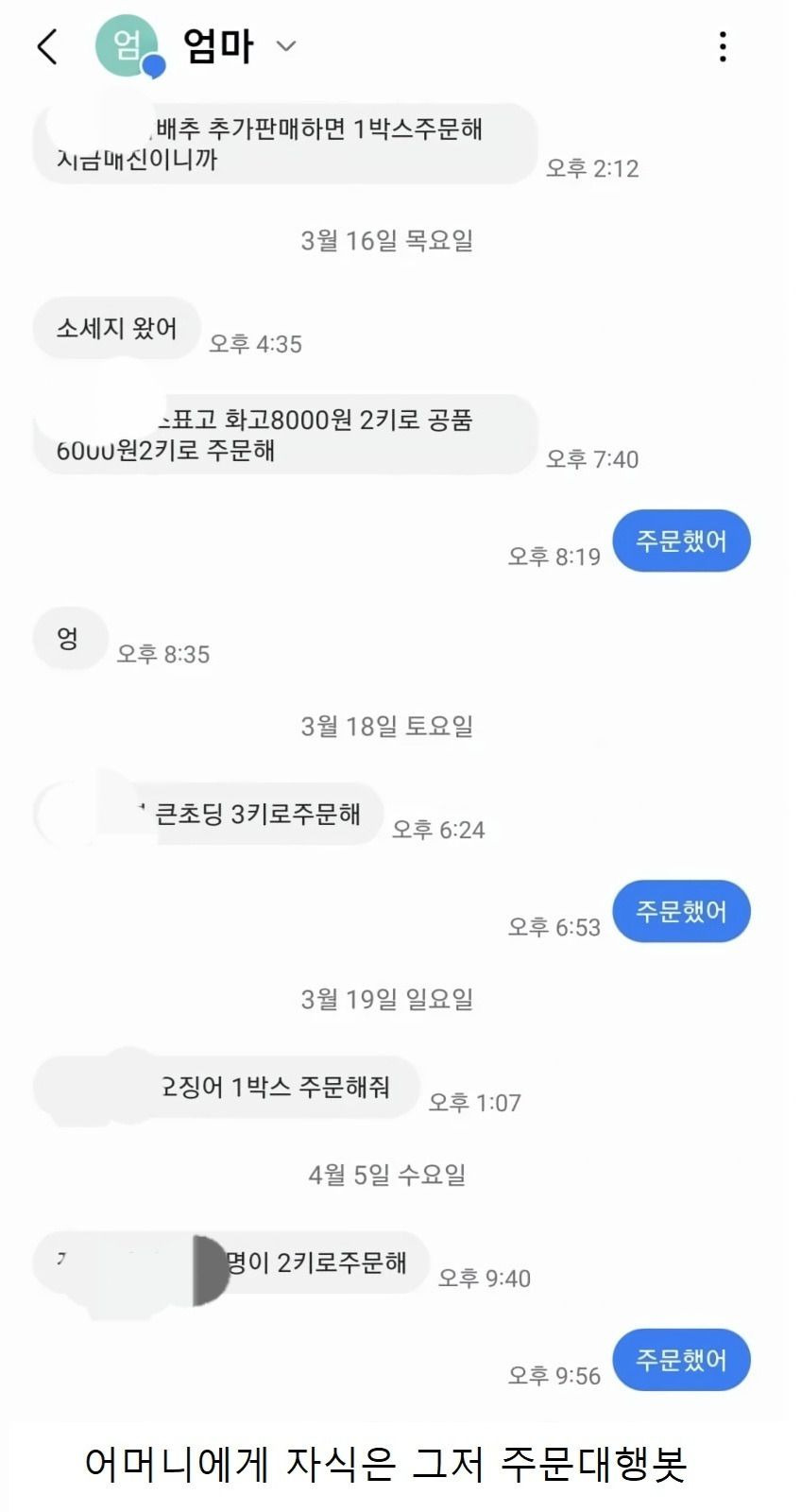 장성한 자식의 용도,아들