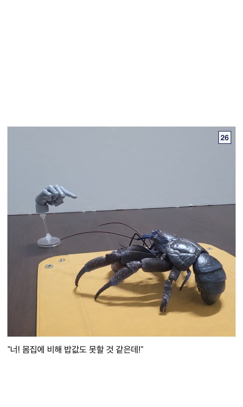 ????싱글벙글 9만원짜리 코코넛 크랩.jpg