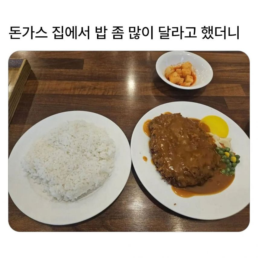 돈까스 시키면 밥이 작아요