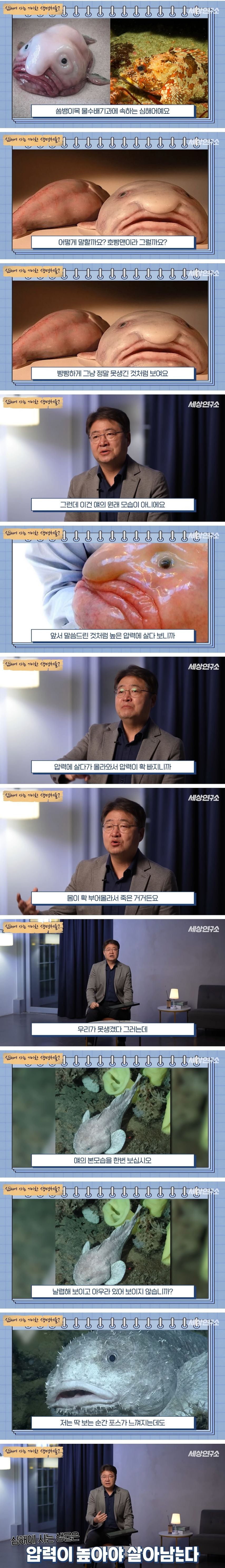 못생긴 동물 원래모습