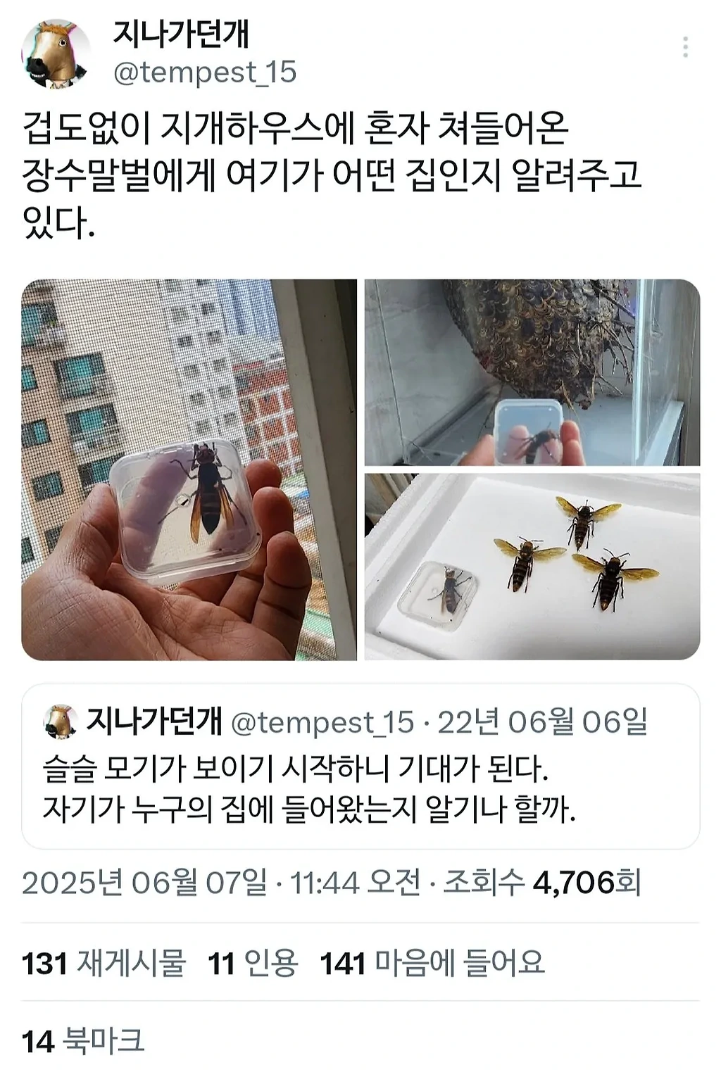 아파트에 무단 침입한 장수말벌의 최후.jpg