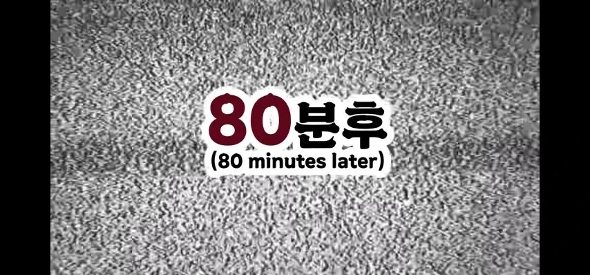 일본의 재난 식량