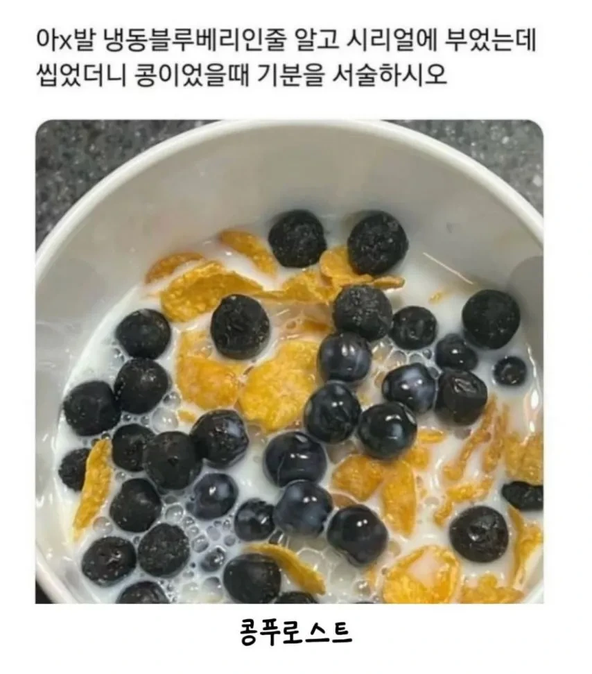 냉동 블루베리인줄 알고 시리얼에 부었는데