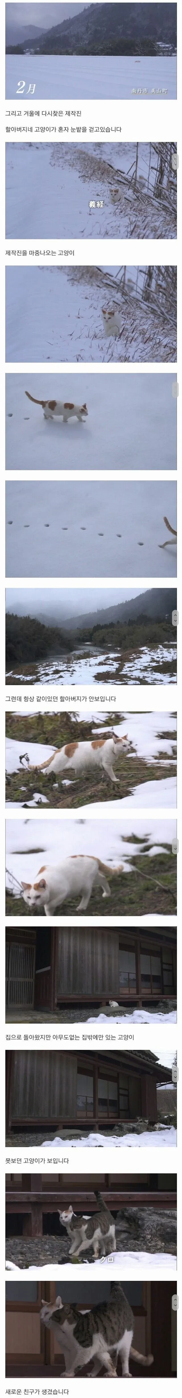 할아버지와 고양이