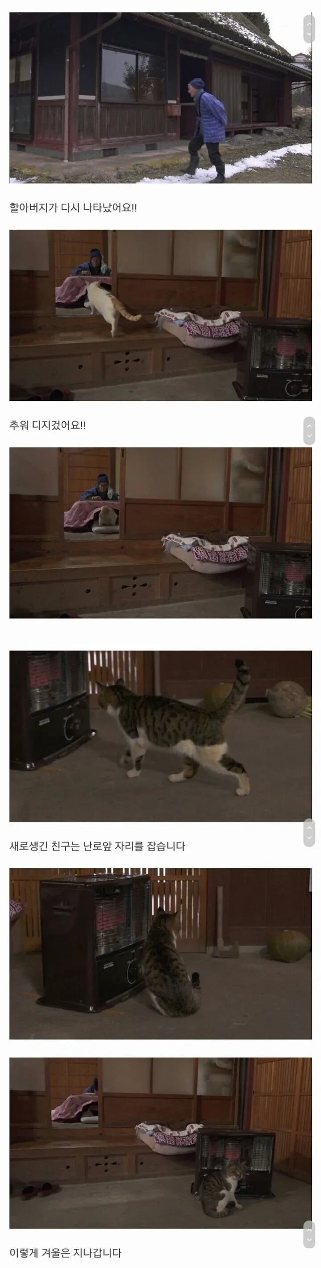 할아버지와 고양이