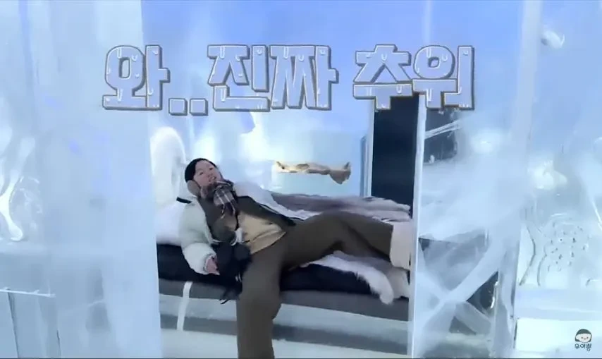 1박 200만원 스웨덴 아이스 호텔