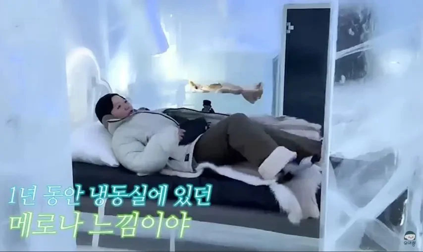 1박 200만원 스웨덴 아이스 호텔