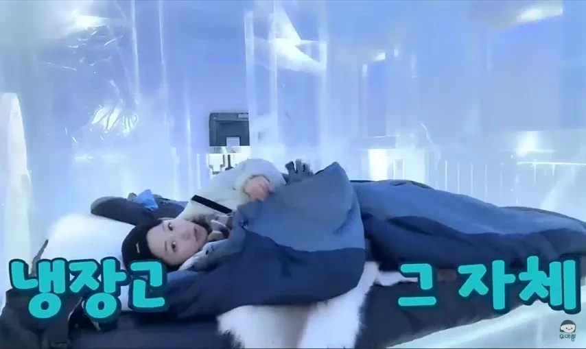 1박 200만원 스웨덴 아이스 호텔