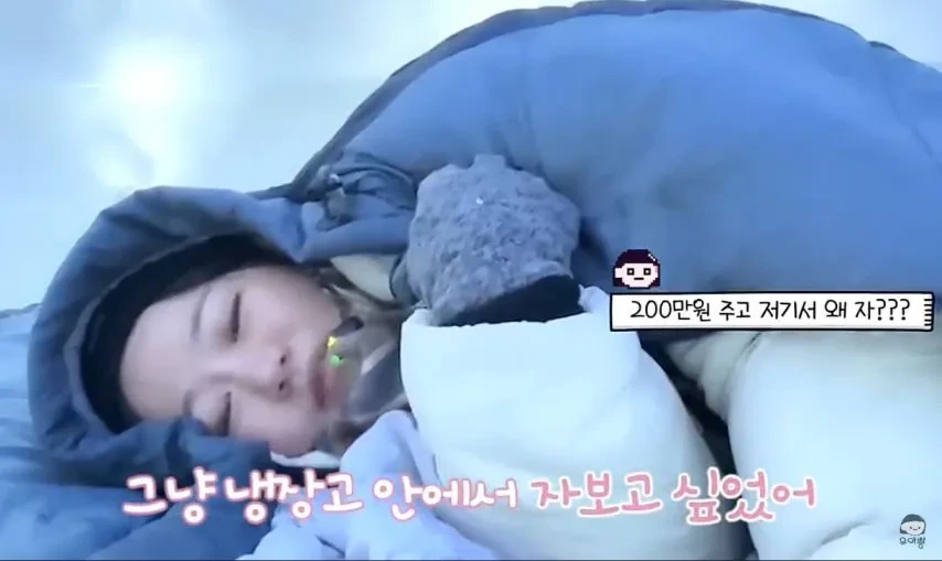 1박 200만원 스웨덴 아이스 호텔