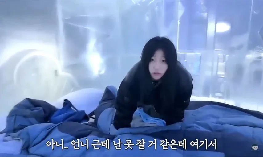 1박 200만원 스웨덴 아이스 호텔