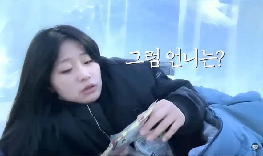 1박 200만원 스웨덴 아이스 호텔