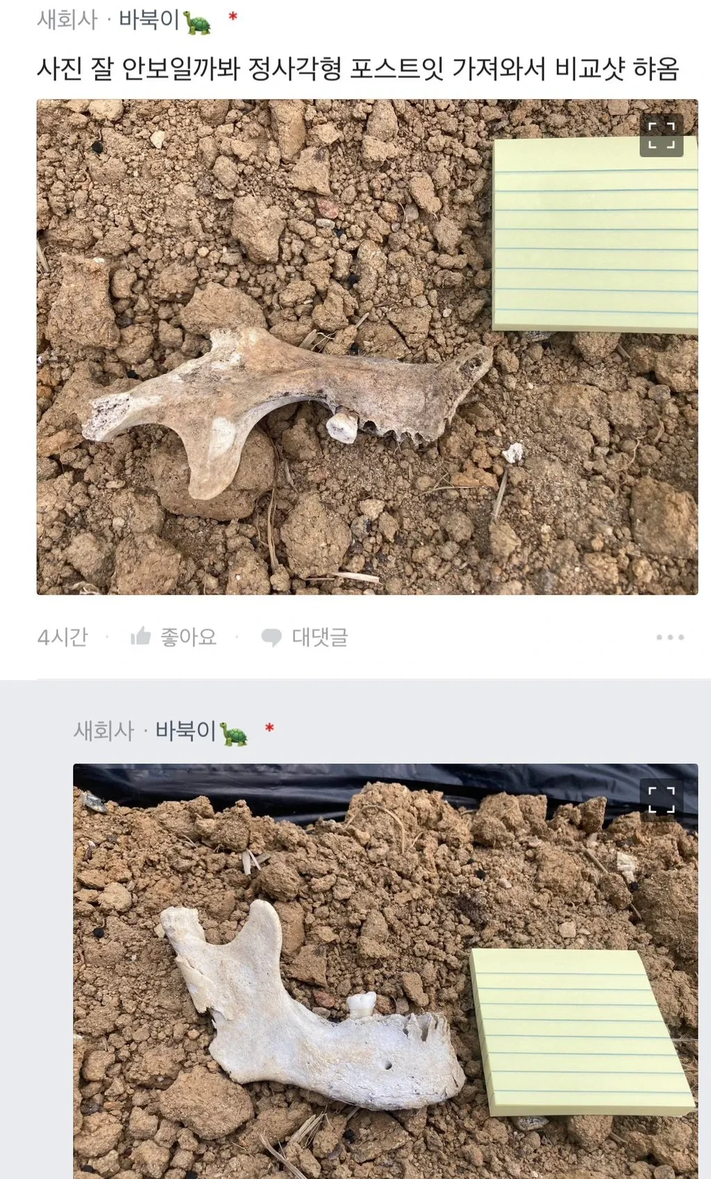 밭에서 이상한 뼈를 본 블라인 ㅎㄷㄷ;;.jpg