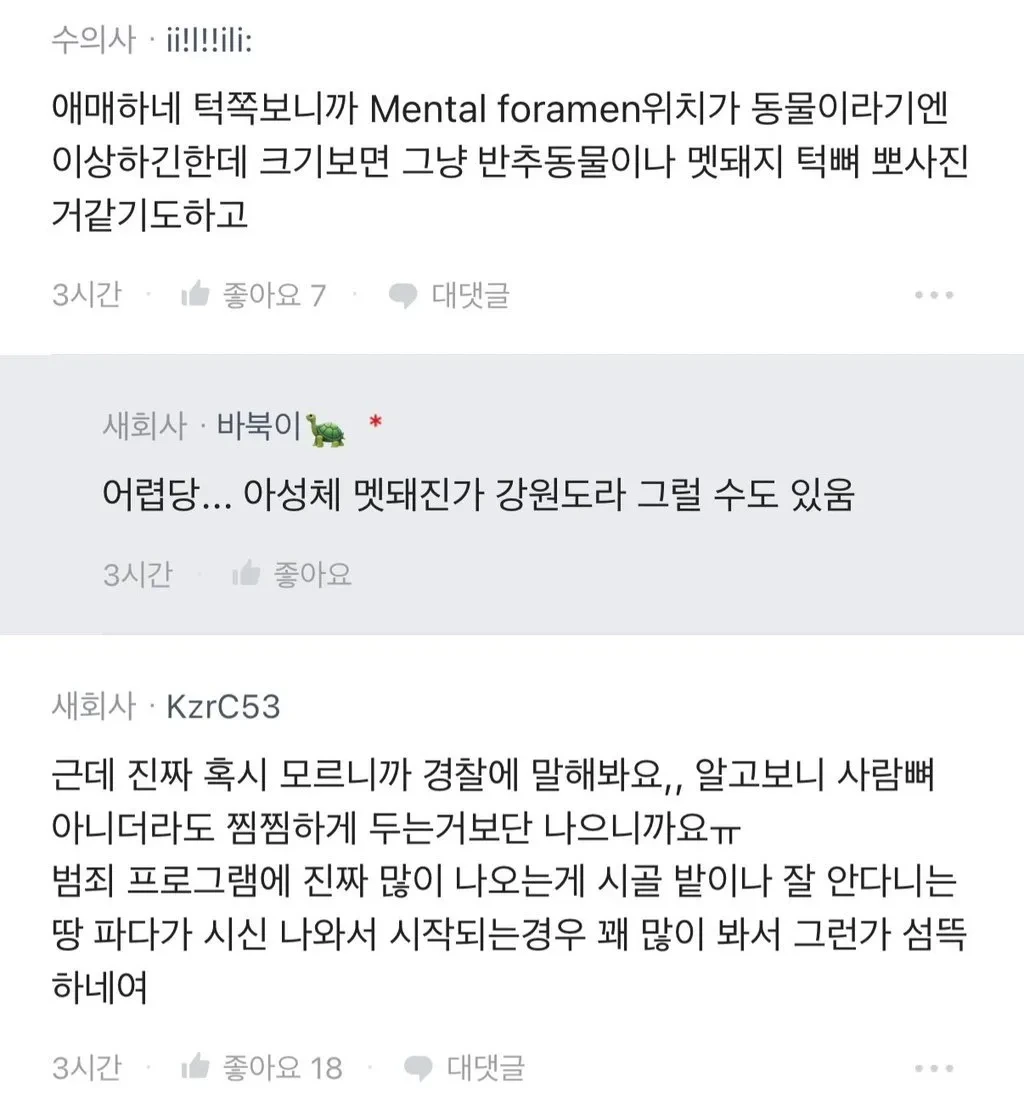 밭에서 이상한 뼈를 본 블라인 ㅎㄷㄷ;;.jpg