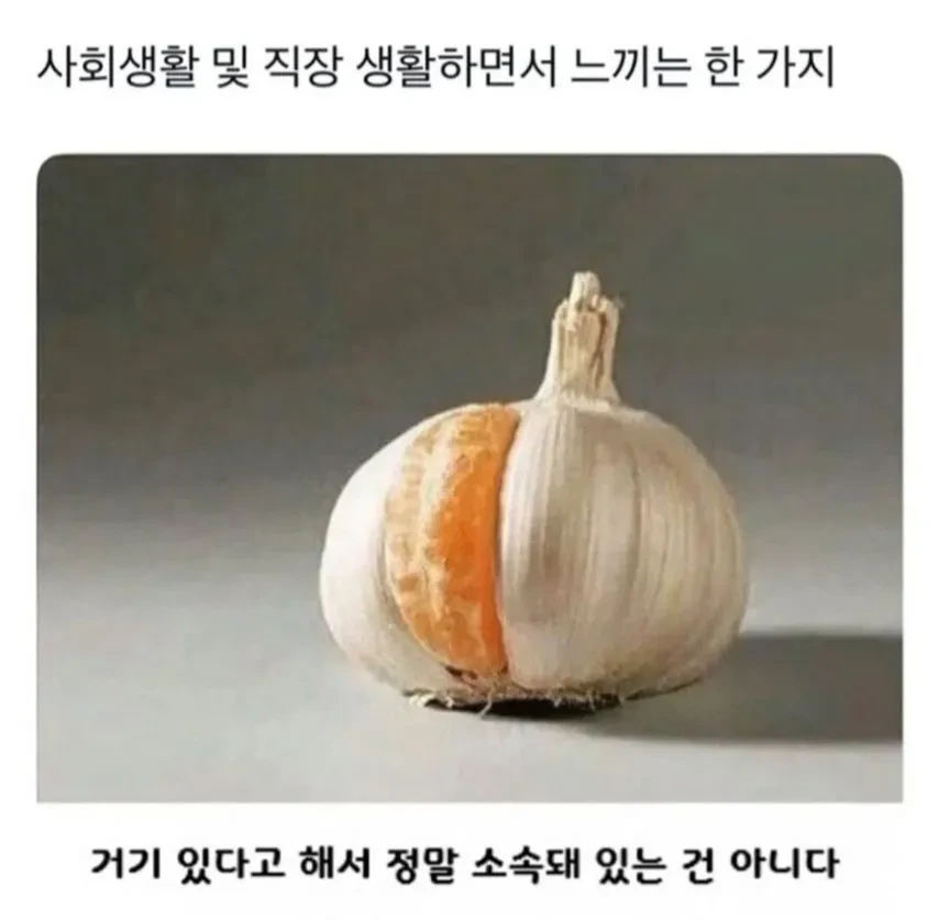 사회생할 하면서 느낀거