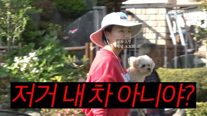 목숨 여러개인 이상화 남편 강남 근황.jpg