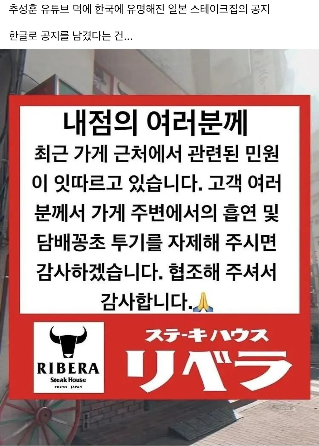 일본 추성훈 스테이크집 최근 근황