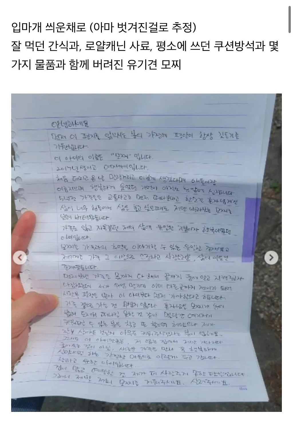 탄천주차장 버려진강아지 후기