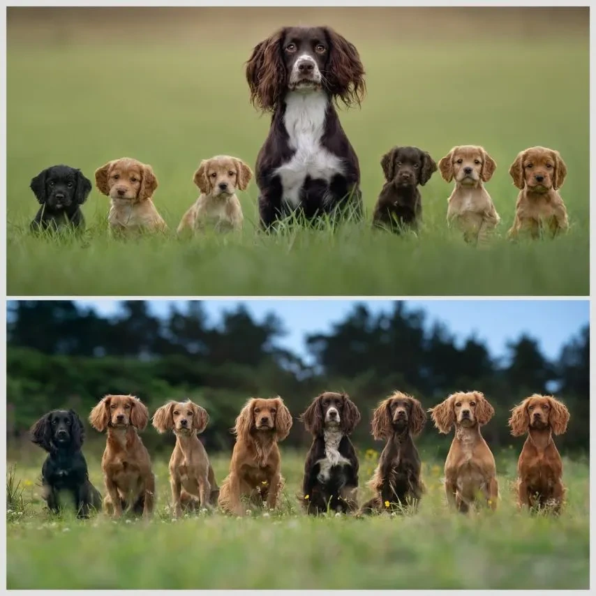 아이들의 폭풍 성장