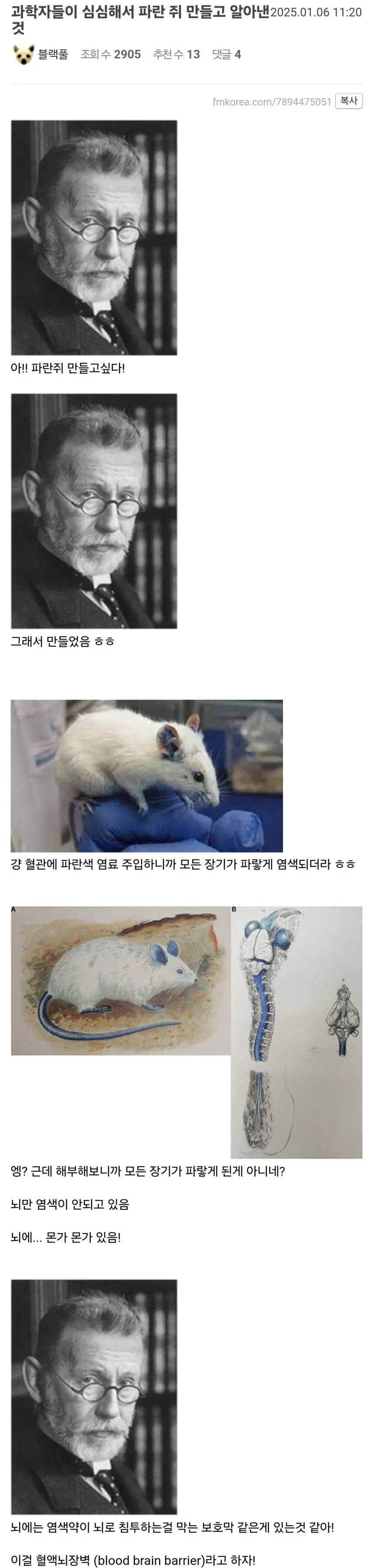 과학자들이 파란쥐 실험하다 알아낸 것