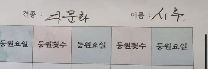 요즘 잡종 믹스견을 순화해서 부르는 말.jpg