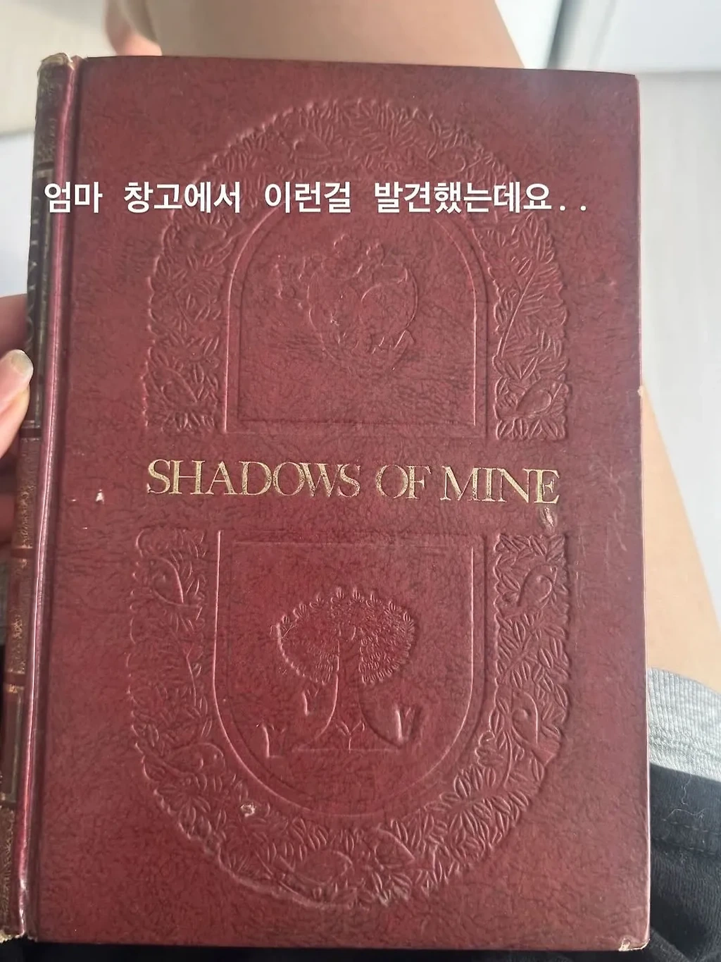 사랑에 빠진 고창여고 문학소녀 고미숙양의 다이어리