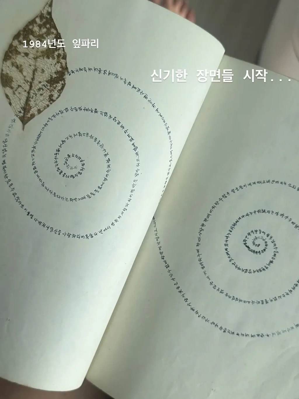 사랑에 빠진 고창여고 문학소녀 고미숙양의 다이어리