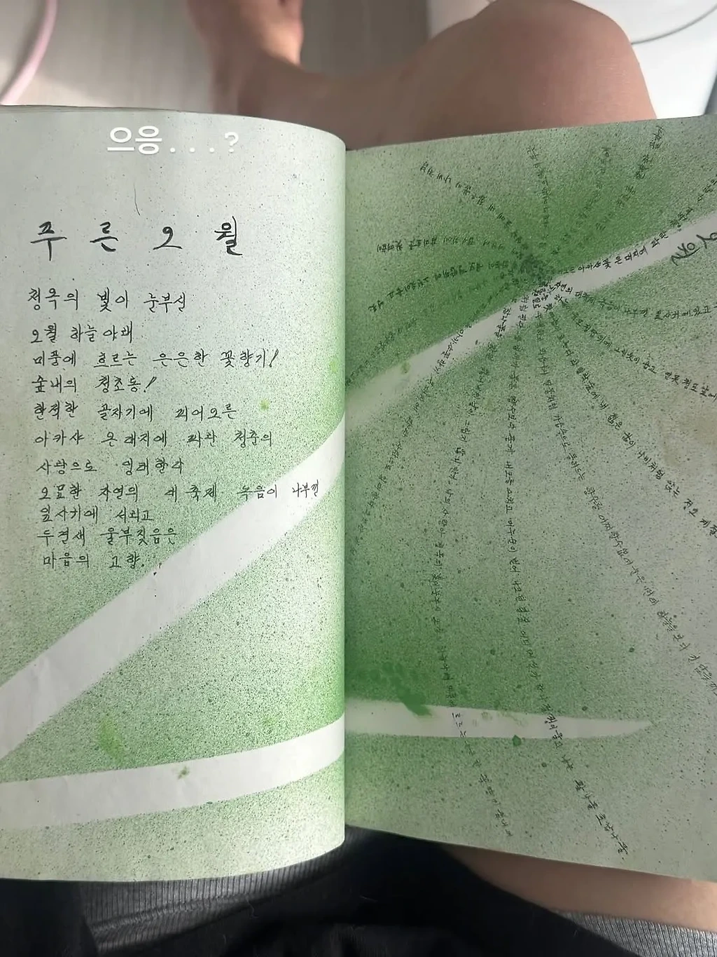 사랑에 빠진 고창여고 문학소녀 고미숙양의 다이어리