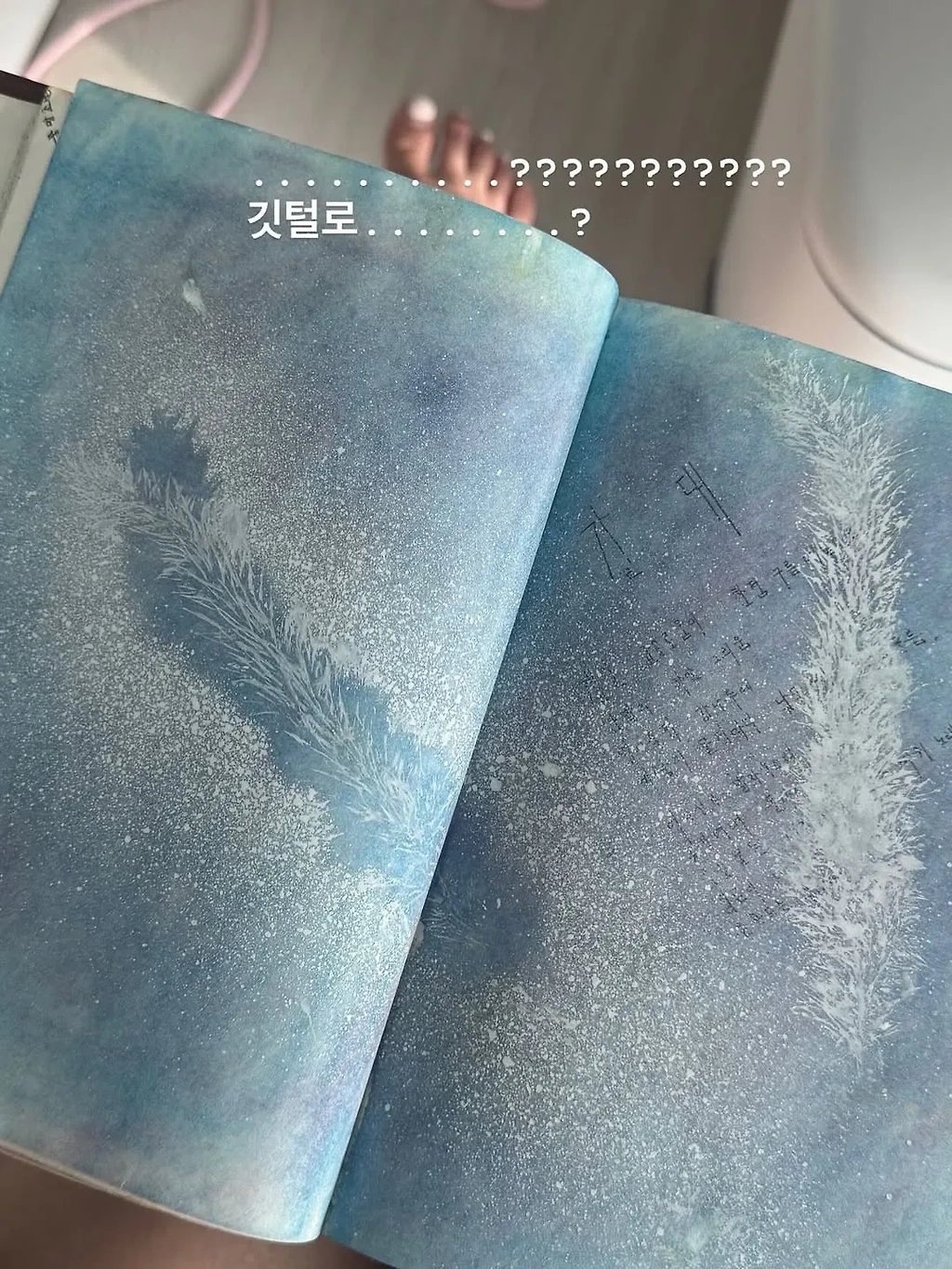 사랑에 빠진 고창여고 문학소녀 고미숙양의 다이어리