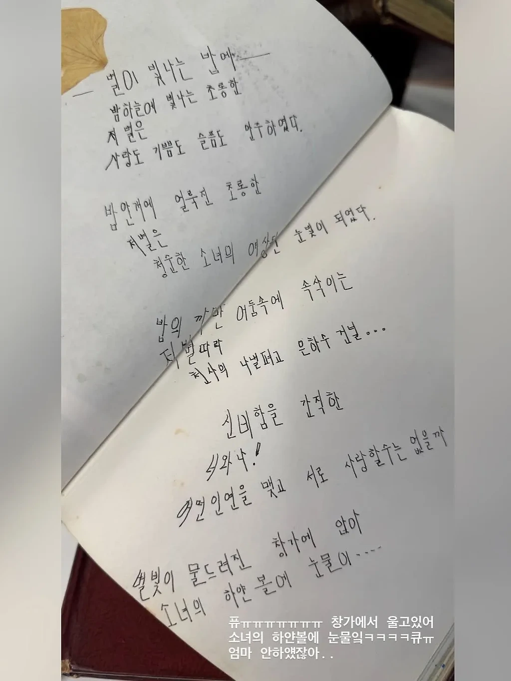 사랑에 빠진 고창여고 문학소녀 고미숙양의 다이어리