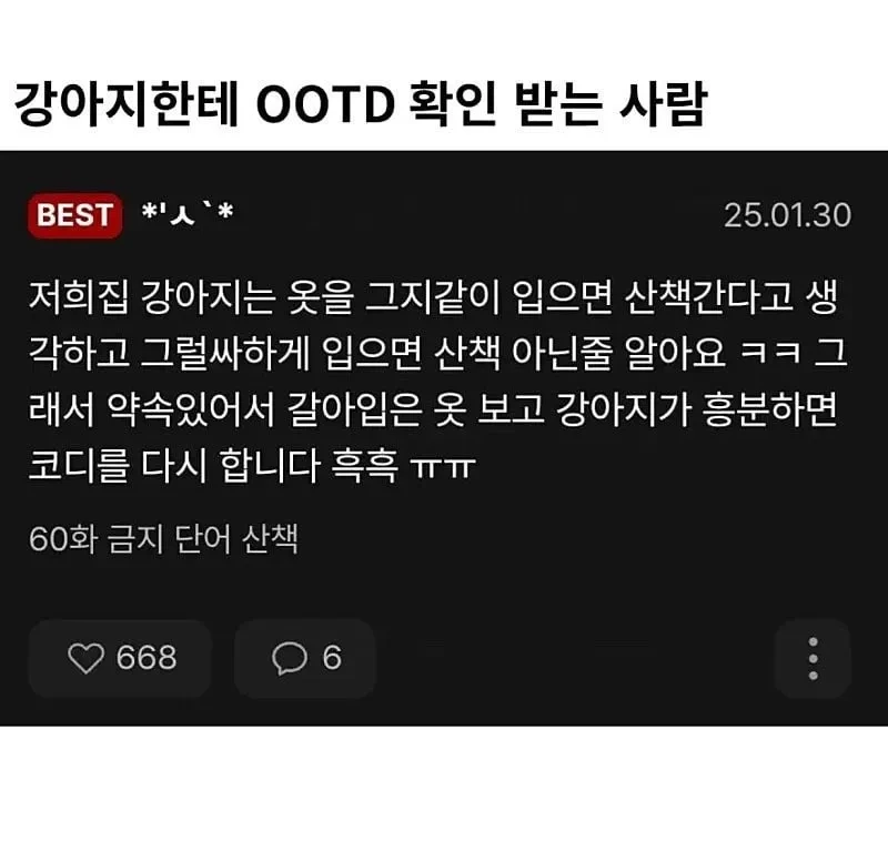 강아지에게 외출 복장 검사받는 사람.jpg