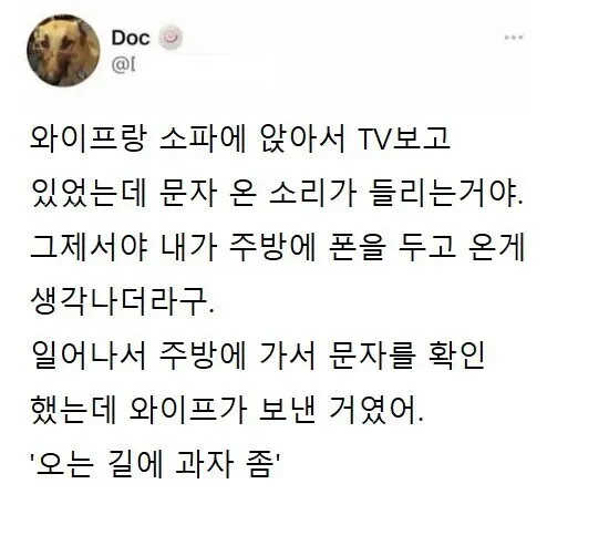 치밀한 아내의 계획