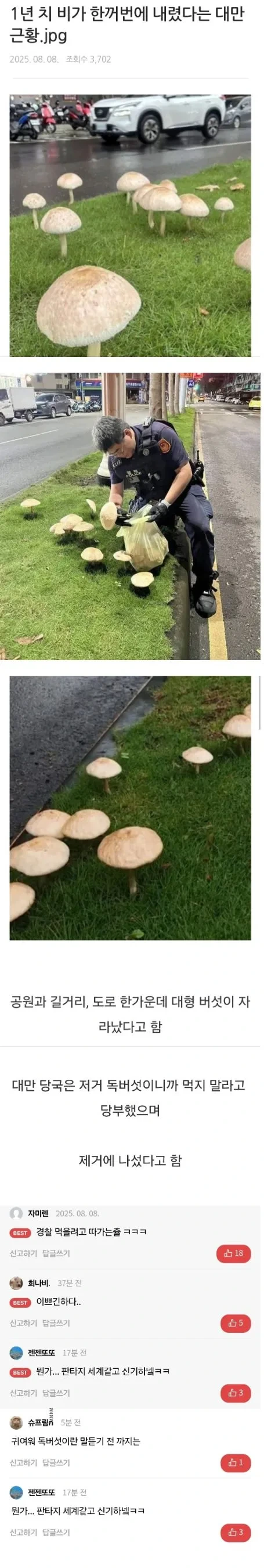 1년치 비가 한꺼번에 내렸다는 대만 근황