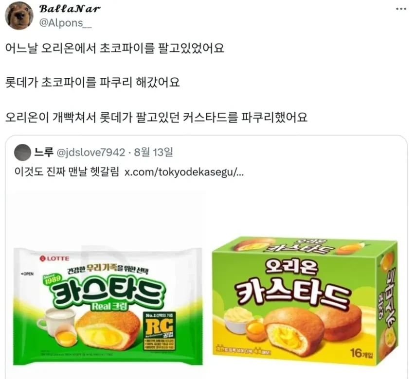 돌고 도는 파쿠리의 세계